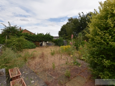Picture 11